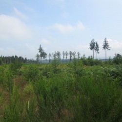 IMG 0618 - Scouts en Gidsen Zaventem 
